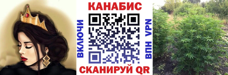 Купить закладки  Нолинск  Канабис Bruce Banner 